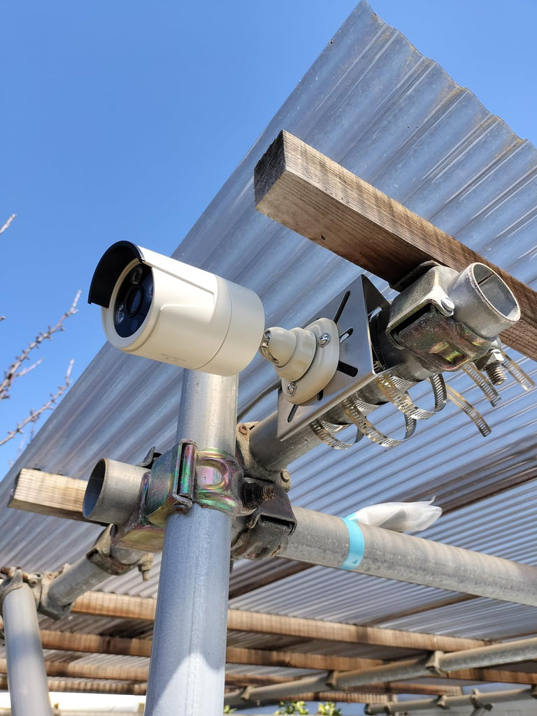 Farm Security Camera Guide (2026 Edition): How to Protect Livestock, Equipment, and Land with Smart Surveillance Systems