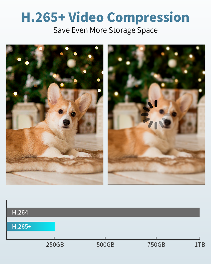 16-Channel POE NVR,4K / 8.0 Megapixel PoE Network Video Recorder for Security Camera System, Supports up to 16 x 8MP/4K IP Cameras PoE NVR